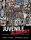 Juvenile Delinquency Theory Practice & Law