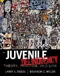 Cengage Advantage Books: Juvenile Delinquency: Theory, Practice, and Law