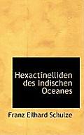 Hexactinelliden Des Indischen Oceanes