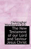 The New Testament of Our Lord and Saviour Jesus Christ, in the Original Greek: With Introductions and Notes, the Acts of the Apostles, New Edition, 18