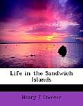Life in the Sandwich Islands