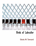 Birds of Labrador