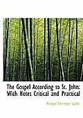 The Gospel According to St. John: With Notes Critical and Practical