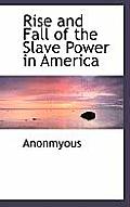 Rise and Fall of the Slave Power in America