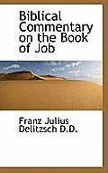 Biblical Commentary on the Book of Job