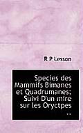 Species Des Mammifs Bimanes Et Quadrumanes; Suivi D'Un Mire Sur Les Oryctpes ..
