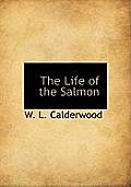 The Life of the Salmon