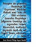 Prinzipien Der Generellen Morphologie Der Organismen. Wortlicher Abdruck Eines Teiles Der 1866 Ersch