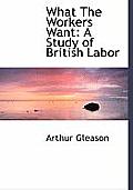 What the Workers Want: A Study of British Labor