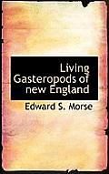 Living Gasteropods of New England