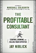 Profitable Consultant Starting Growing & Selling Your Expertise