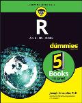 R All in One For Dummies