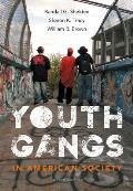 Youth Gangs in American Society 4th Edition