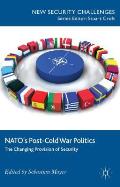 Nato's Post-Cold War Politics: The Changing Provision of Security