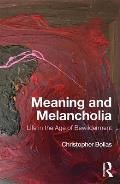 Meaning and Melancholia: Life in the Age of Bewilderment
