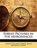 Forest Pictures in the Adirondacks