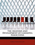 The Anatomy and Development of Cassiopea Xamachana