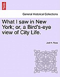 What I Saw in New York; Or, a Bird's-Eye View of City Life.