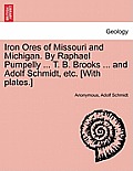 Iron Ores of Missouri and Michigan. By Raphael Pumpelly ... T. B. Brooks ... and Adolf Schmidt, etc. [With plates.]