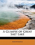 A Glimpse of Great Salt Lake
