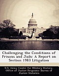 Challenging the Conditions of Prisons and Jails: A Report on Section 1983 Litigation