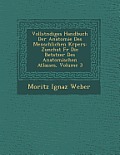 Vollst Ndiges Handbuch Der Anatomie Des Menschlichen K Rpers: Zun Chst Fur Die Betstzer Des Anatomischen Atlasses, Volume 3