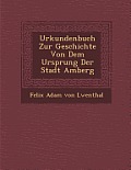 Urkundenbuch Zur Geschichte Von Dem Ursprung Der Stadt Amberg