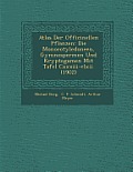Atlas Der Officinellen Pflanzen: Die Monocotyledoneen, Gymnospermen Und Kryptogamen Mit Tafel CXXXIII-CLXII. (1902)