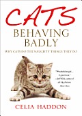 Cats Behaving Badly