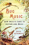 Bug Music How Insects Gave Us Rhythm & Noise