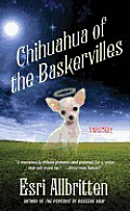 Chihuahua of the Baskervilles