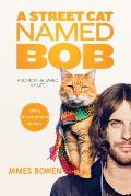 Street Cat Named Bob & How He Saved My Life