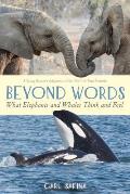 Beyond Words What Elephants & Whales Think & Feel