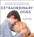 Extraordinary Dogs Stories from Search & Rescue Dogs Comfort Dogs & Other Canine Heroes