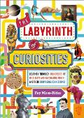 Labyrinth of Curiosities