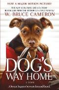 Dogs Way Home Movie Tie In