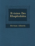 R Vision Des Rhaphidides