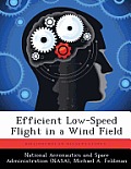 Efficient Low-Speed Flight in a Wind Field