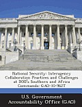National Security: Interagency Collaboration Practices and Challenges at Dod's Southern and Africa Commands: Gao-10-962t