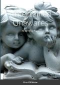 Entertained Unawares: Visitations by Angels