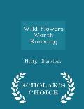 Wild Flowers Worth Knowing Scholars Choice Edition
