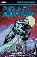 Black Panther Epic Collection Panthers Rage