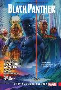 Black Panther Volume 1