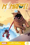 Ms Marvel Meets the Marvel Universe