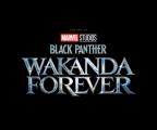 Marvel Studios' Black Panther: Wakanda Forever - The Art of the Movie