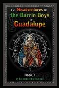 The Misadventures of the Barrio Boys of Guadalupe