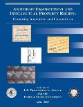 Antitrust Enforcement and Intellectual Property Rights: Promoting Innovation and Competition