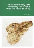 The Extraordinary Tale of Rodney The Rabbit Who Fell From The Sky
