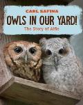 Owls in Our Yard