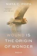 Wound Is the Origin of Wonder: Poems